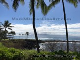 hawaii-artist-mark-n-brown-maui-plein-air-painting-invitational-2019-photos-086.jpg
