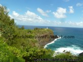 Mark N Brown's latest Plein Air artwork as inspired by the scenic beauty of Kilauea Lighthouse