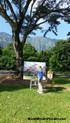 Hawaii Artist Mark N Brown Hawaiian Plein Air Fine Art Painting Honolulu Nov Dec 2014 Photos 19