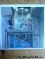 15' x 20' mural for Wapio Gentry aquatic park commissioned by City and County, arts in public places  - Honolulu, Hawaii Wall Mural