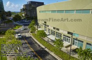 Hawaii Plein Air artist Mark N. Brown completes the new South Shore Market mural in Kakaako, featuring artwork by Sig Zane