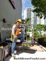 MURAL Hawaii Artist Mark Brown Plein Air Painting Winter 2017 Photos 2 10